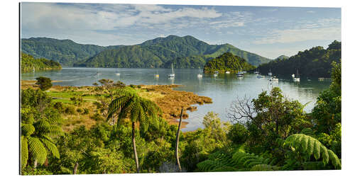 Gallery Print Marlborough Sound