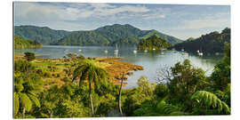 Gallery print Marlborough Sound