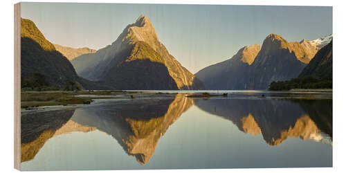 Holzbild Fiordland