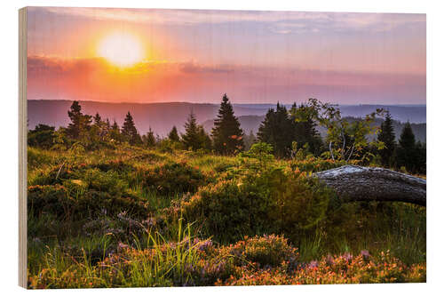 Wood print Sunrise in the Black Forest