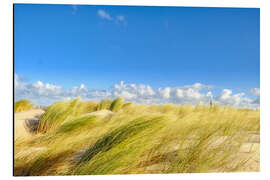 Aluminium print The dunes of Warnemünde