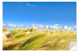 Naklejka na ścianę The dunes of Warnemünde