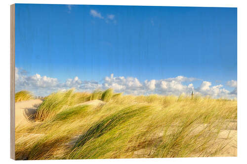 Obraz na drewnie The dunes of Warnemünde