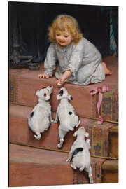 Magnettafel A dead heat