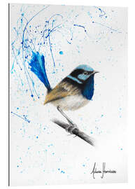 Gallery print Happy Wren