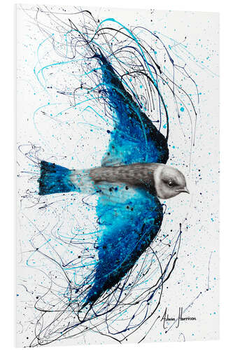 Foam board print Flight of the blue bird