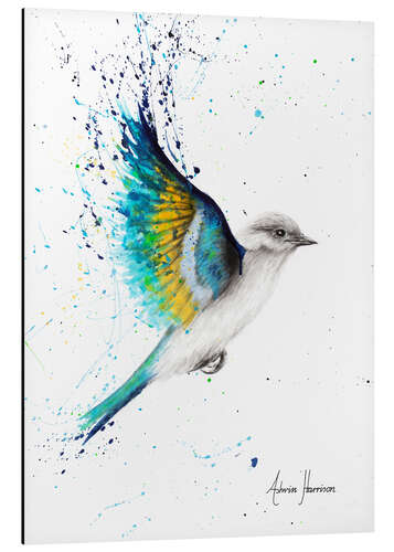 Aluminium print Blue Wing Bird