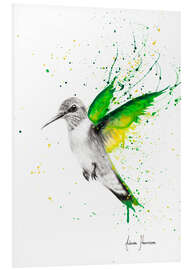 Foam board print Hummingbird Wings