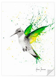 Wall sticker Hummingbird Wings