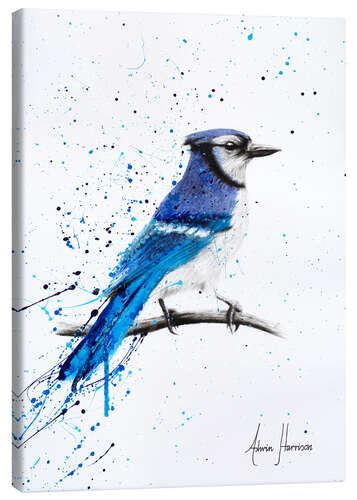 Canvas print Blue Jay Bird