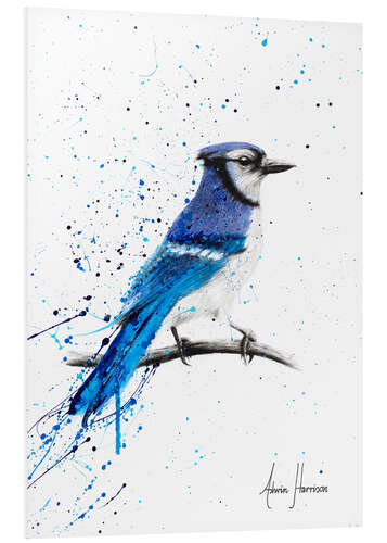 Bilde på skumplate Blue Jay Bird