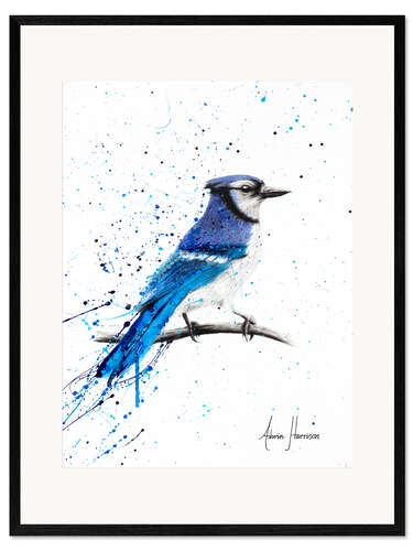 Impressão artística com moldura Blue Jay Bird