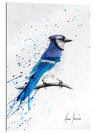 Gallery print Blue Jay Bird