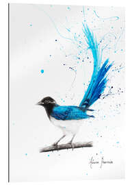 Tableau en plexi-alu Oiseau bleu pacifique