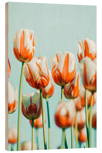 Quadro de madeira Tulipas ancoradas em um azul claro