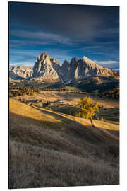 Print på aluminium Sunset on the Alpe di Siusi the Dolomites