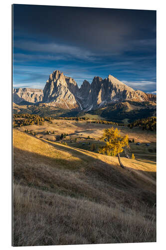 Gallery print Sunset on the Alpe di Siusi the Dolomites