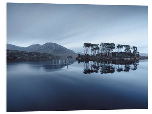 Obraz na szkle akrylowym Pine Island at the Connemara Nationalpark