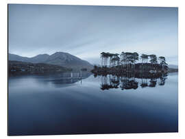 Cuadro de aluminio Isla de los pinos en el parque nacional de Connemara