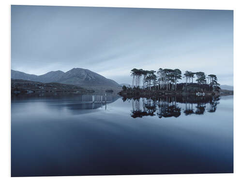 Foam board print Pine Island at the Connemara Nationalpark