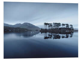 Foam board print Pine Island at the Connemara Nationalpark