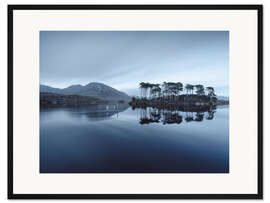 Gerahmter Kunstdruck Pine Island im Connemara Nationalpark