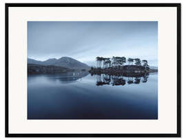 Stampa artistica con cornice Pine Island al Connemara Nationalpark