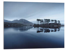 Galleriataulu Pine Island at the Connemara Nationalpark