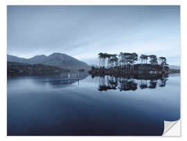 Selvklæbende plakat Pine Island at the Connemara Nationalpark