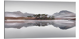 Aluminium print Pine Island in the Connemara Nationalpark in Ireland