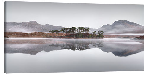 Quadro em tela Pine Island in the Connemara Nationalpark in Ireland