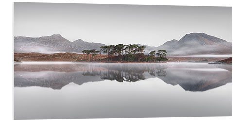 Hartschaumbild Pine Island im Connemara Nationalpark in Irland