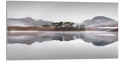 Cuadro de plexi-alu Isla de pino en el parque nacional de Connemara en Irlanda