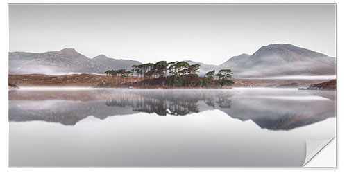 Vinilo para la pared Isla de pino en el parque nacional de Connemara en Irlanda