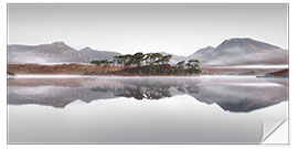 Naklejka na ścianę Pine Island in the Connemara Nationalpark in Ireland