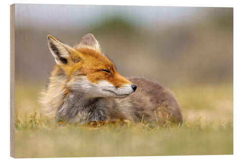 Wood print The smiling fox