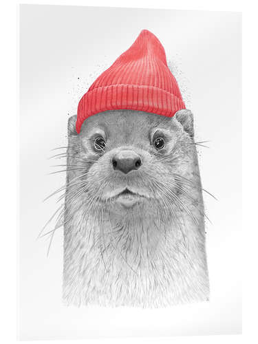 Acrylglasbild Seeotter