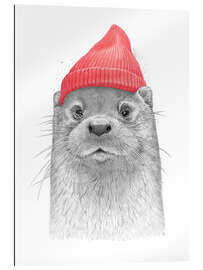 Gallery Print Seeotter