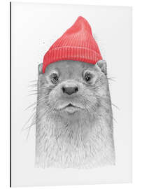 Magnettafel Seeotter