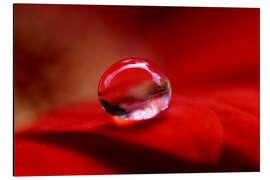 Magnettafel Rot ist die Liebe