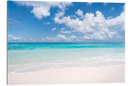 Tableau en plexi-alu Plage paradisiaque de Bora Bora