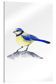 Gallery print Blue tit