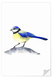 Wall sticker Blue tit