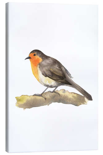 Canvas print Robin