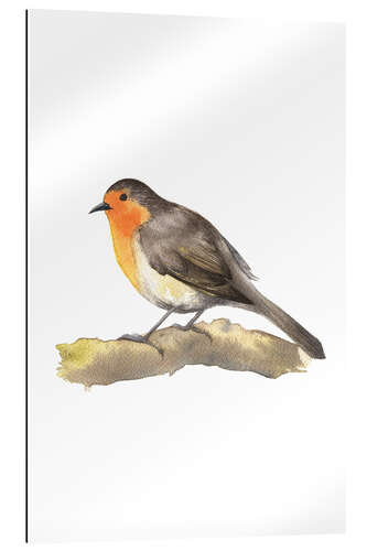 Gallery print Robin