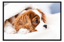 Gerahmter Kunstdruck Verträumter Welpe 