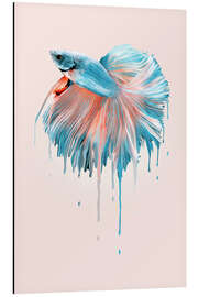 Magnettafel Schmelzender Fisch