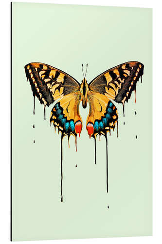 Quadro em alumínio Melting butterfly