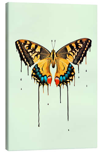 Canvas print Melting butterfly