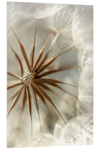 PVC-taulu Dandelion umbrella dance